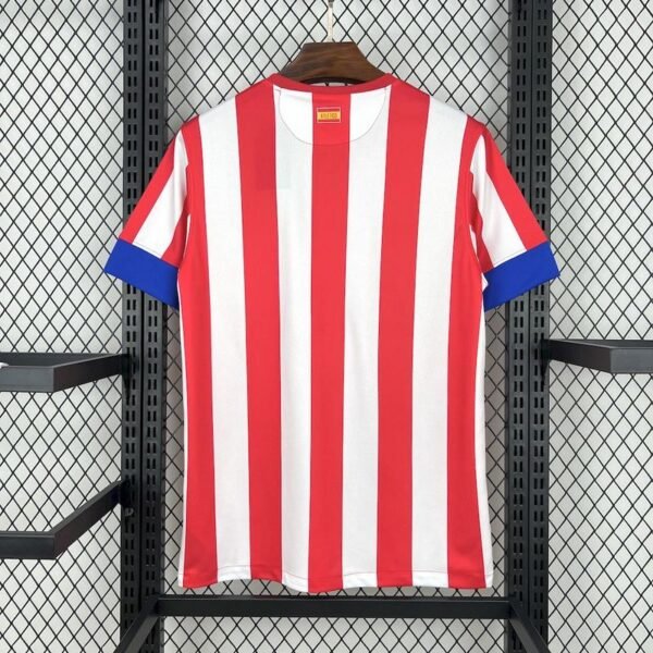 ATLÉTICO DE MADRID 2012/13 - Imagen 3