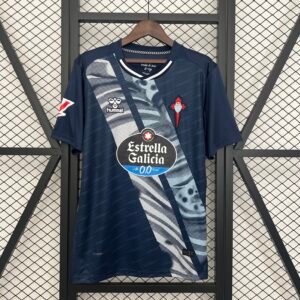 CELTA 2025/26